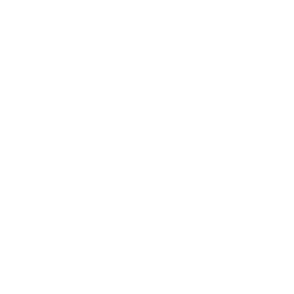 Logo BORN4MORE