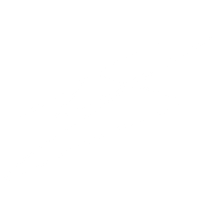 Erwan Serra logo